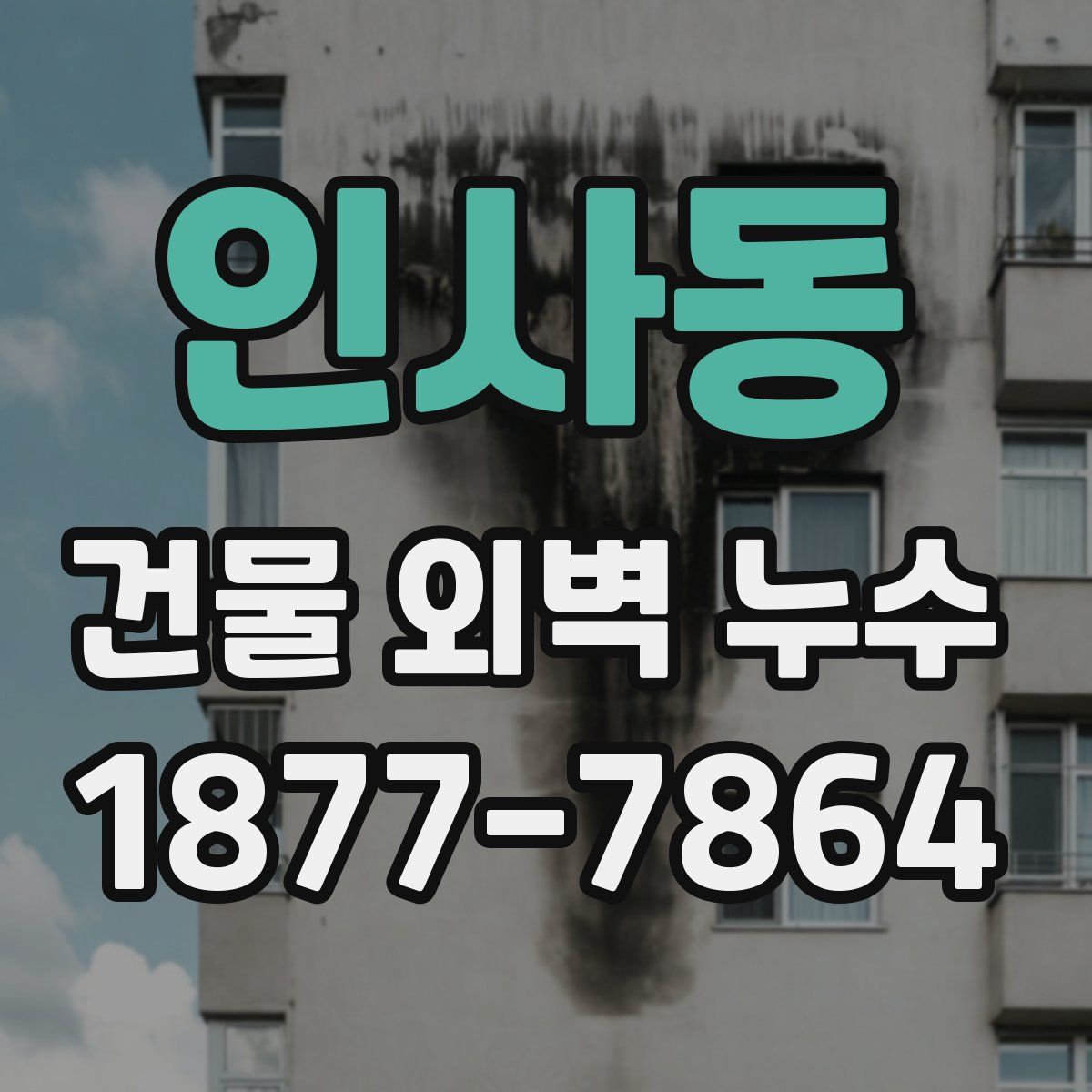 인사동 건물 외벽 누수