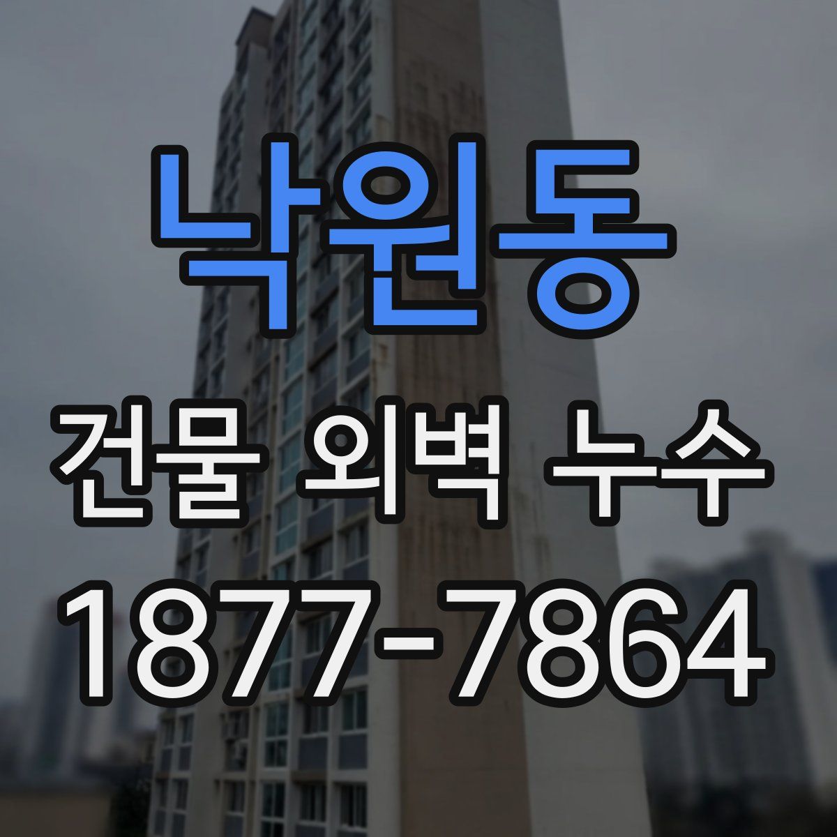 낙원동 건물 외벽 누수