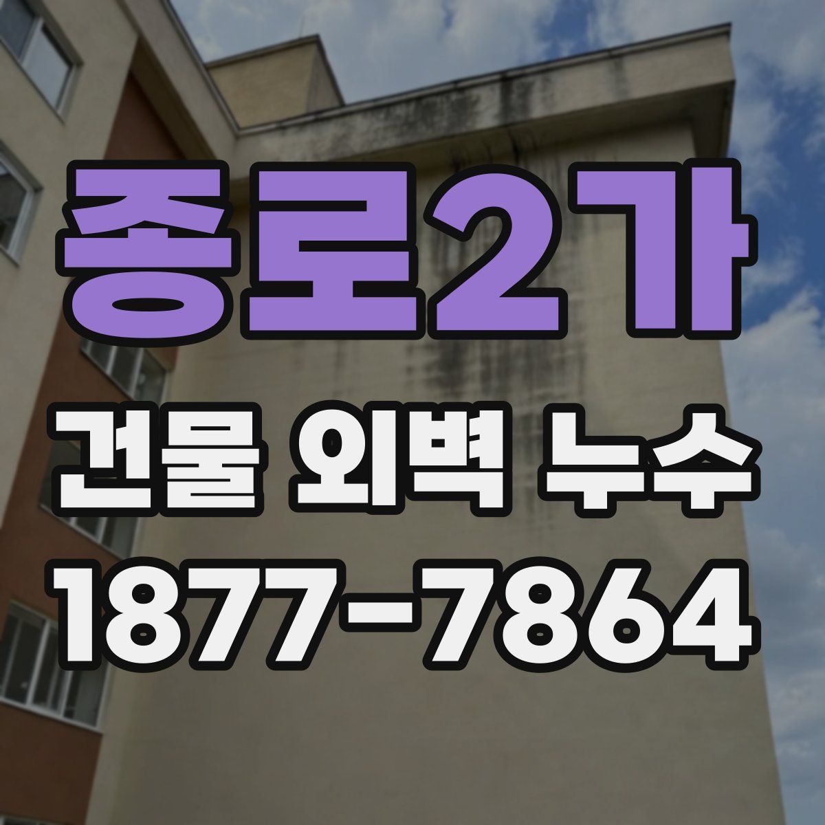 종로2가 건물 외벽 누수