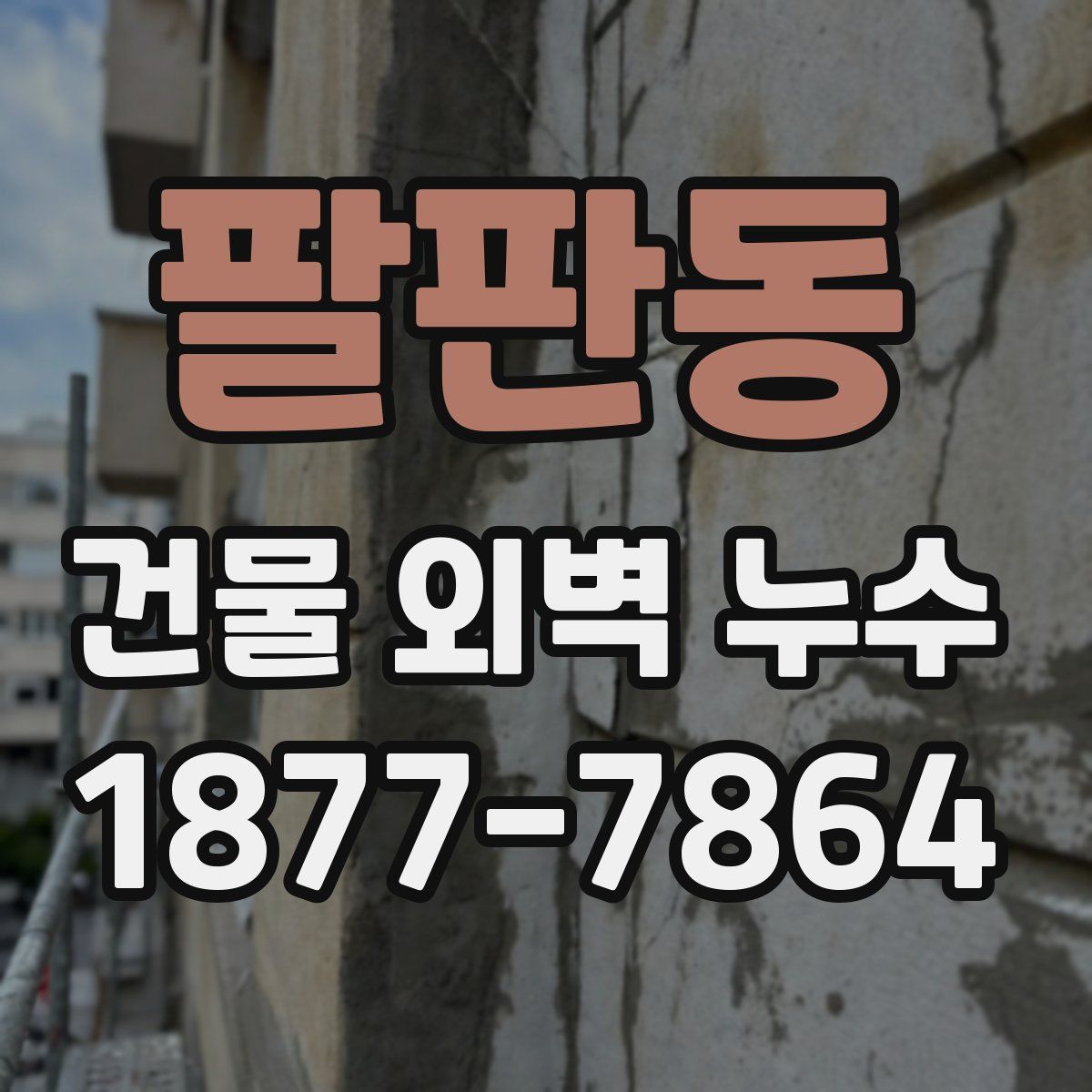 팔판동 건물 외벽 누수