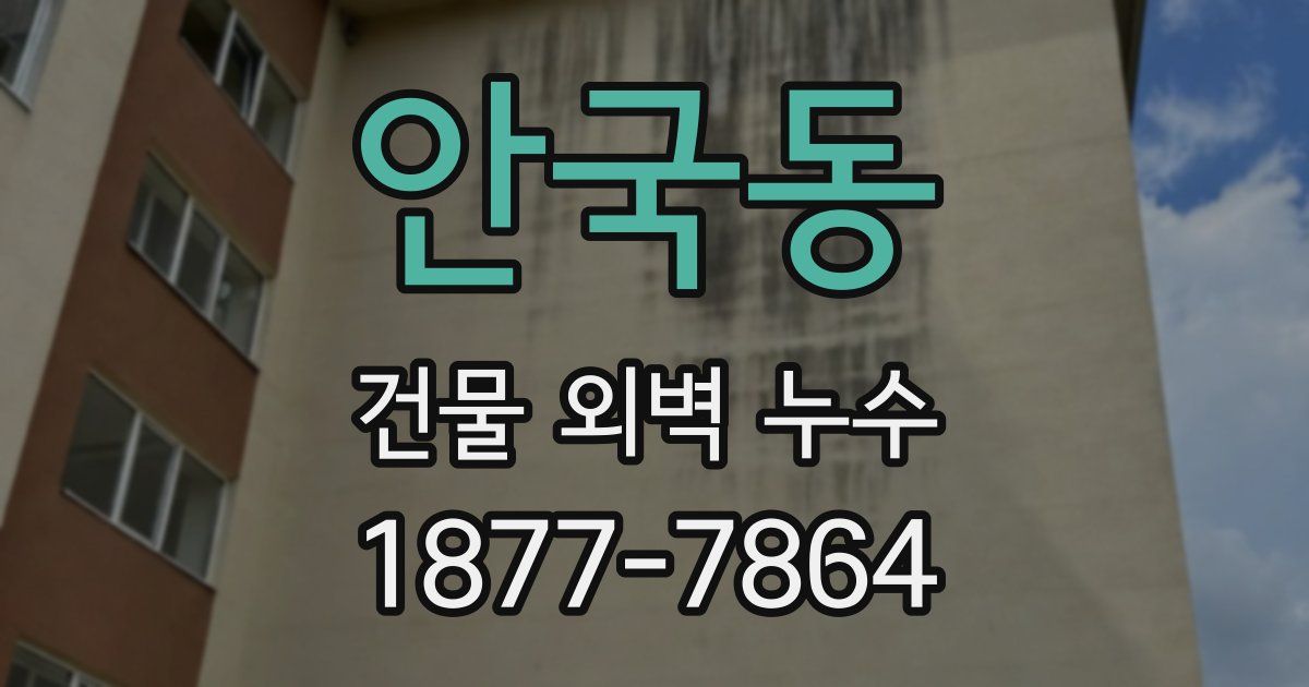 안국동 건물 외벽 누수
