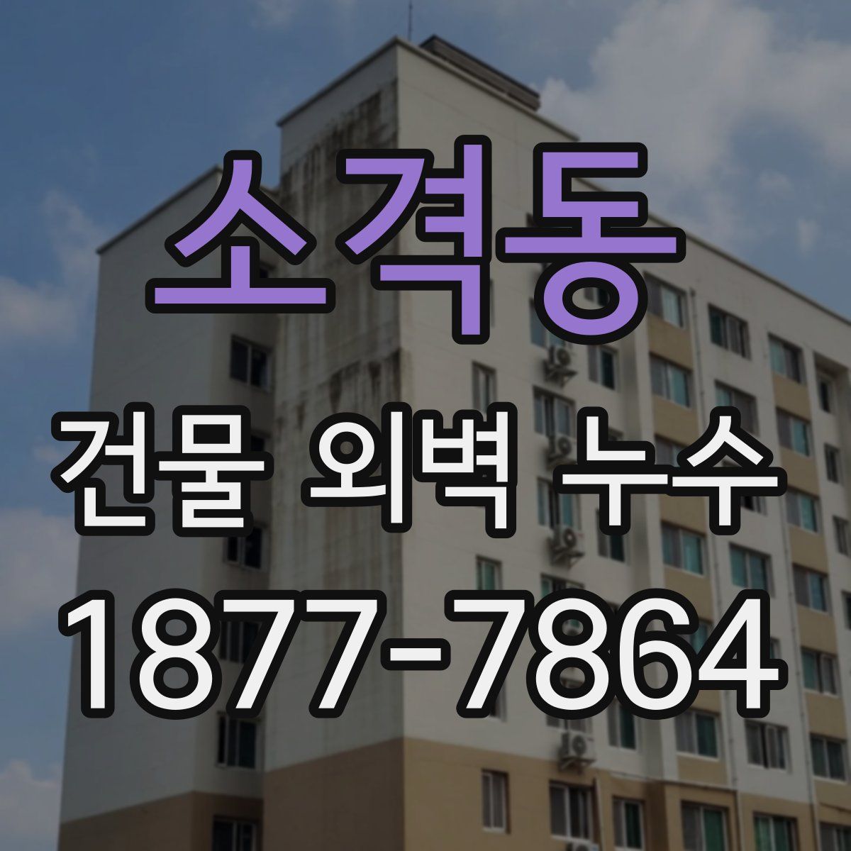 소격동 건물 외벽 누수