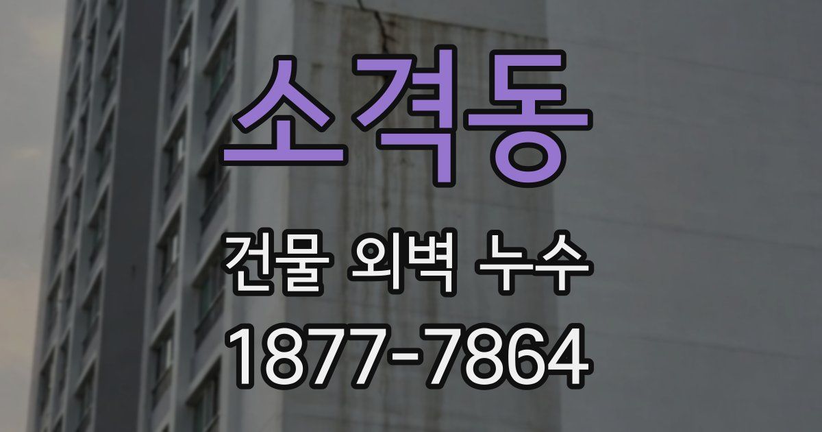 소격동 건물 외벽 누수