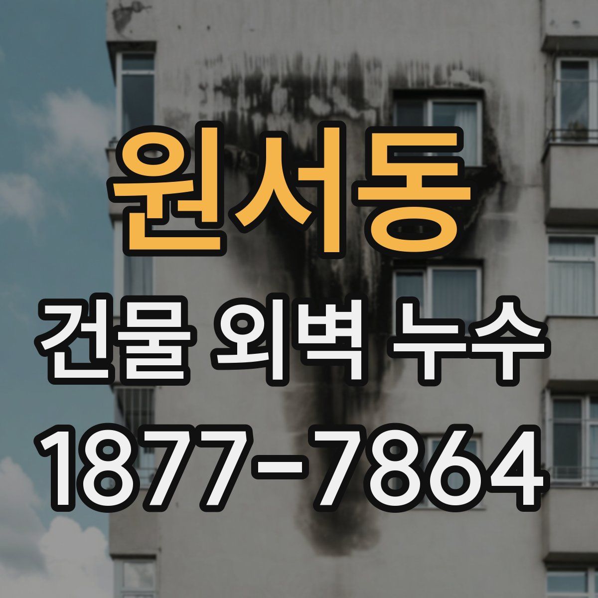 원서동 건물 외벽 누수