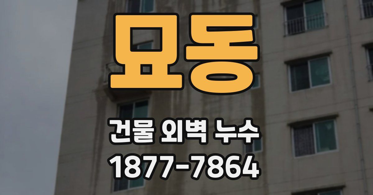 묘동 건물 외벽 누수
