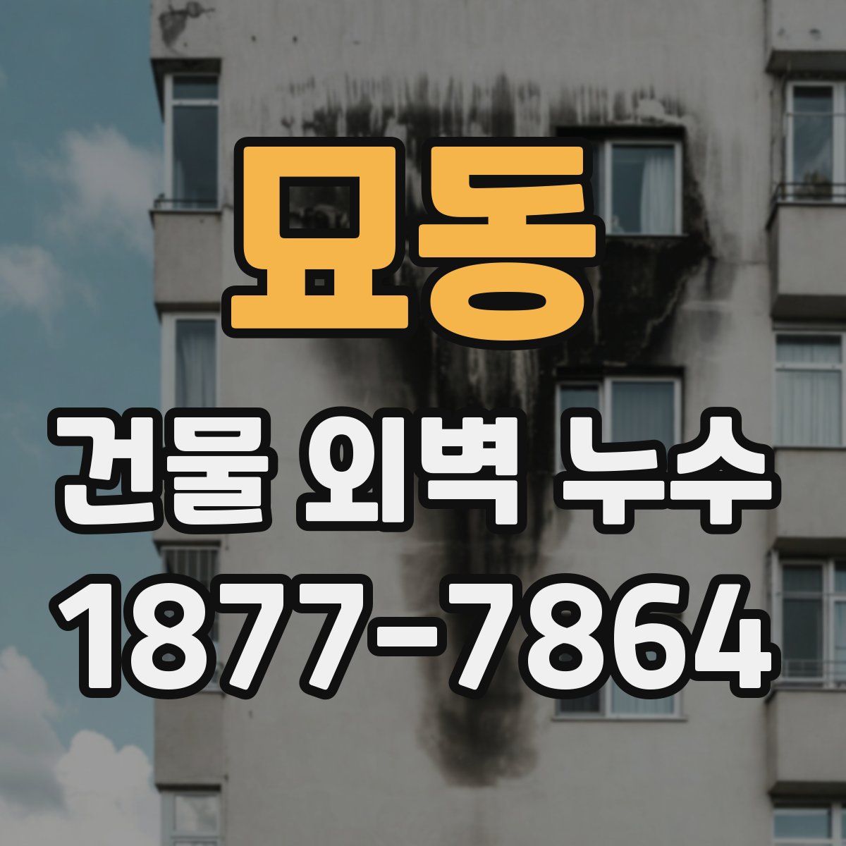 묘동 건물 외벽 누수