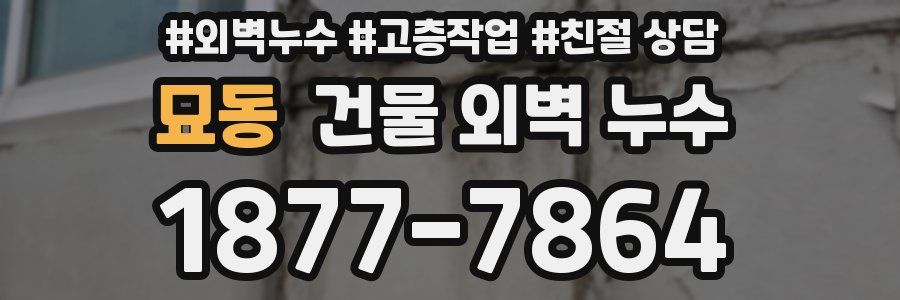 묘동 건물 외벽 누수