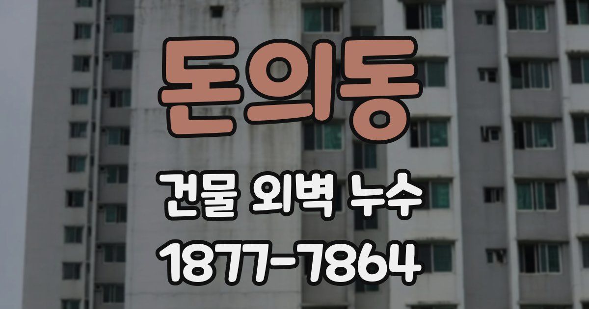 돈의동 건물 외벽 누수