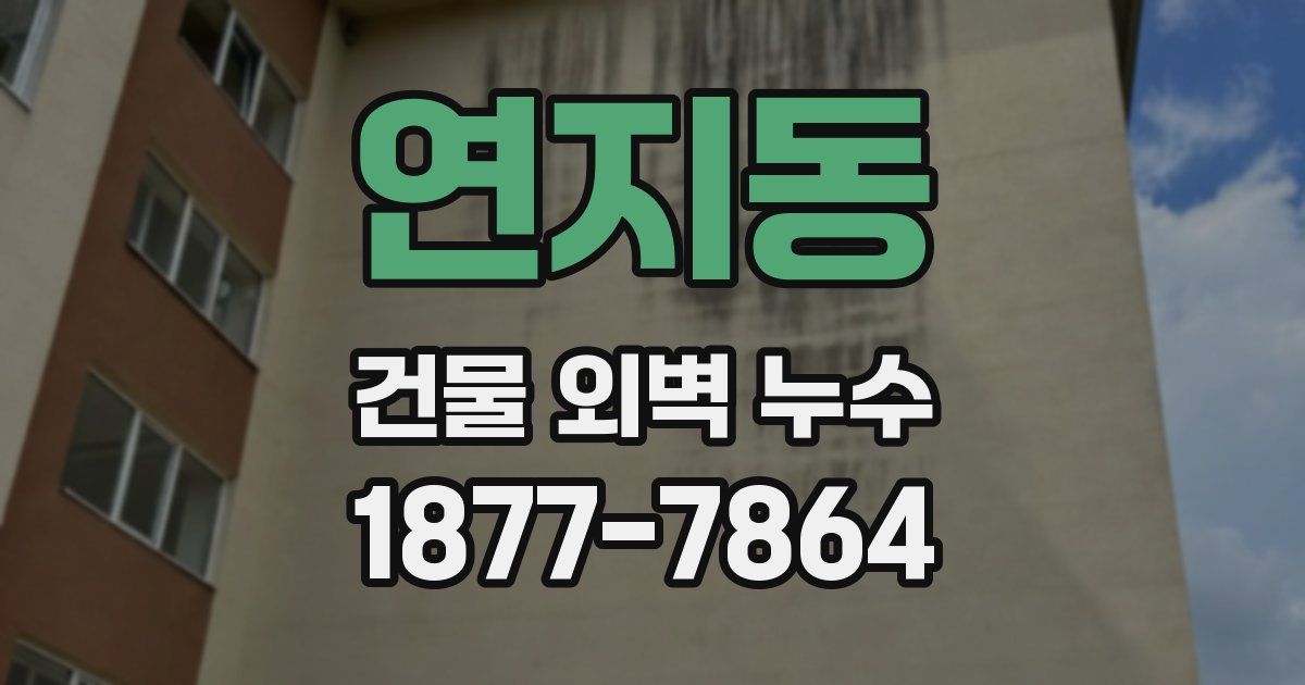 연지동 건물 외벽 누수