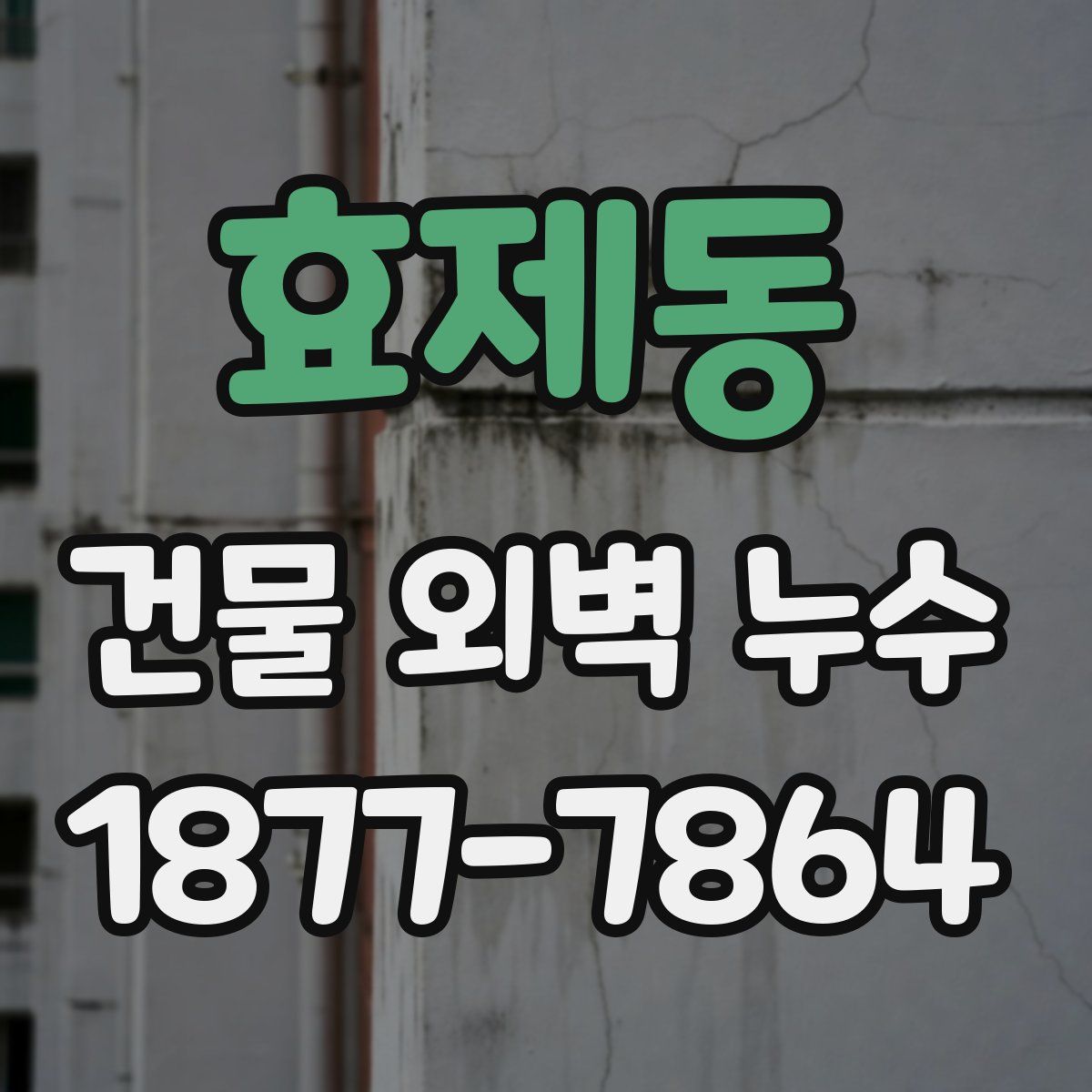 효제동 건물 외벽 누수