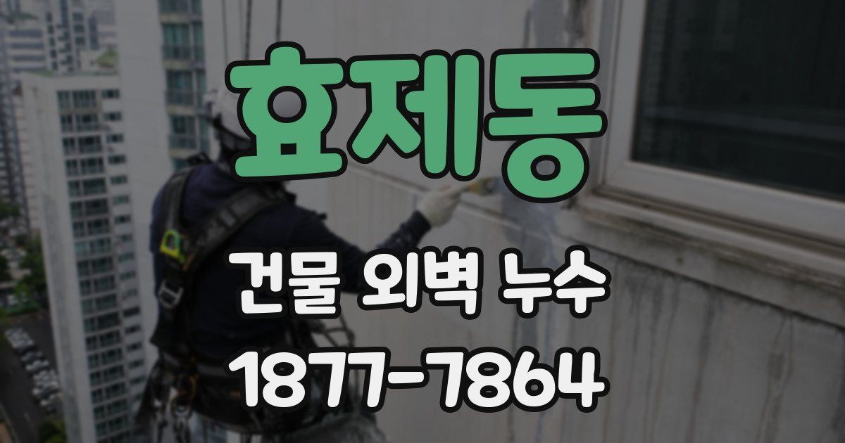 효제동 건물 외벽 누수