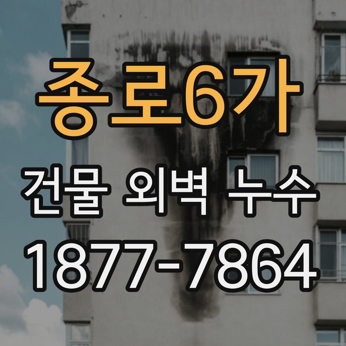 종로6가 건물 외벽 누수