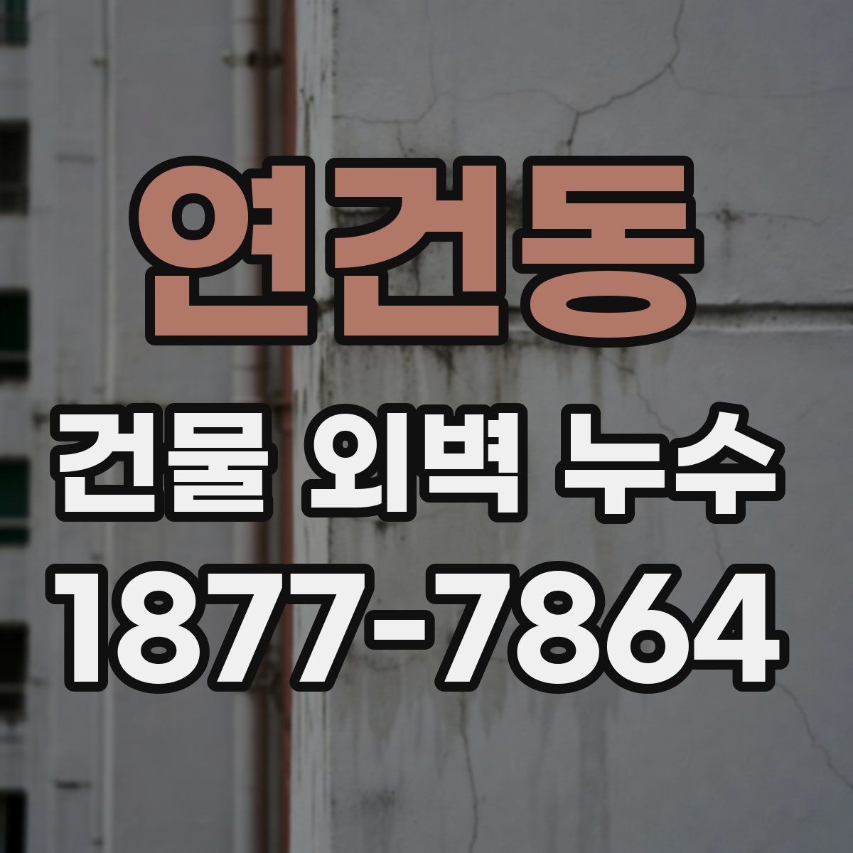연건동 건물 외벽 누수
