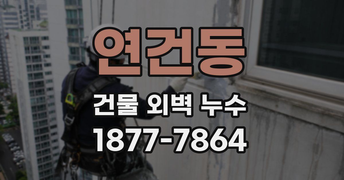 연건동 건물 외벽 누수