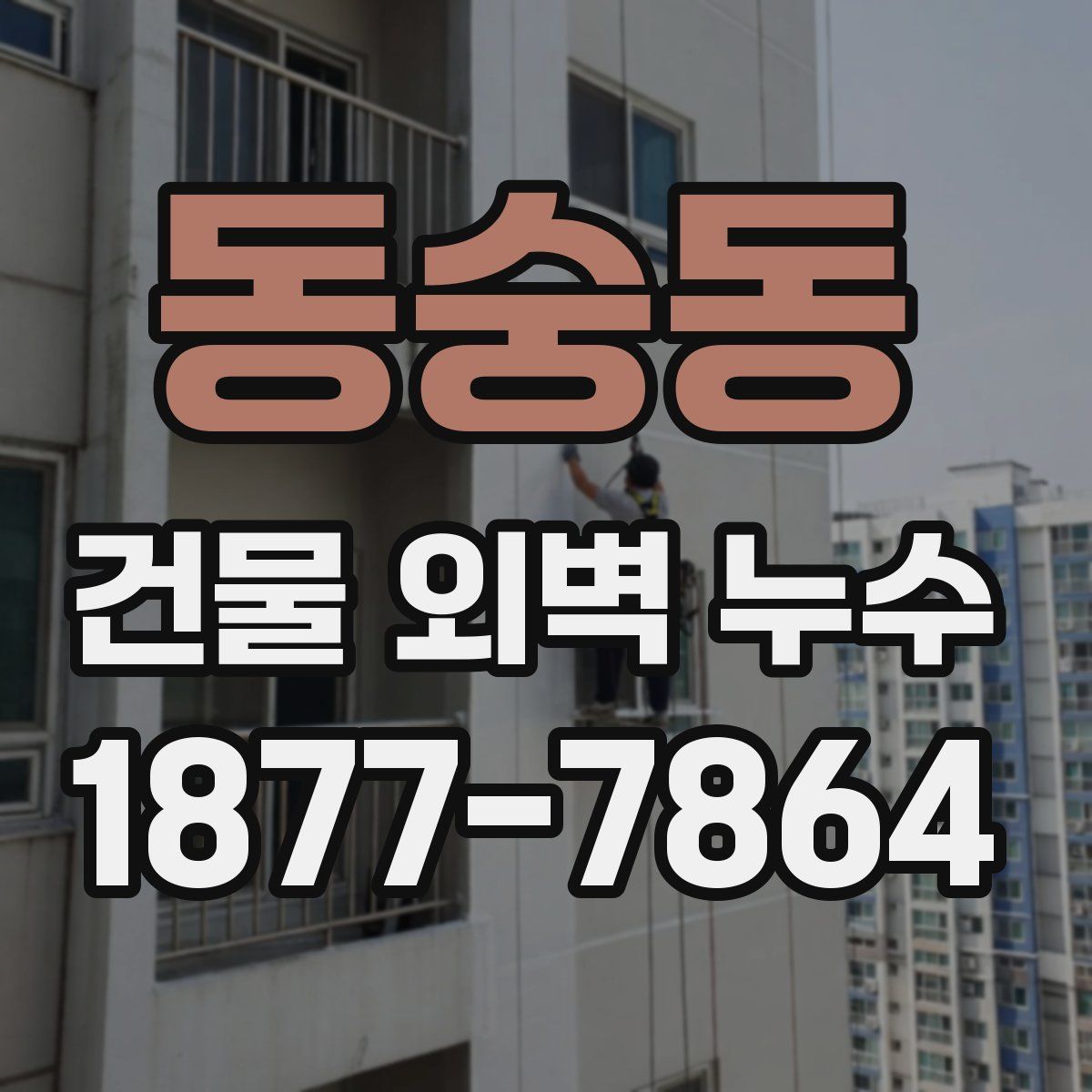 동숭동 건물 외벽 누수