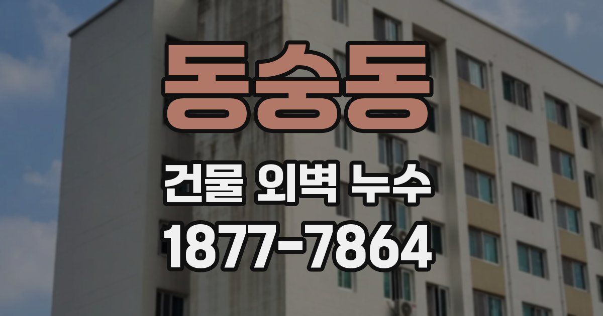 동숭동 건물 외벽 누수