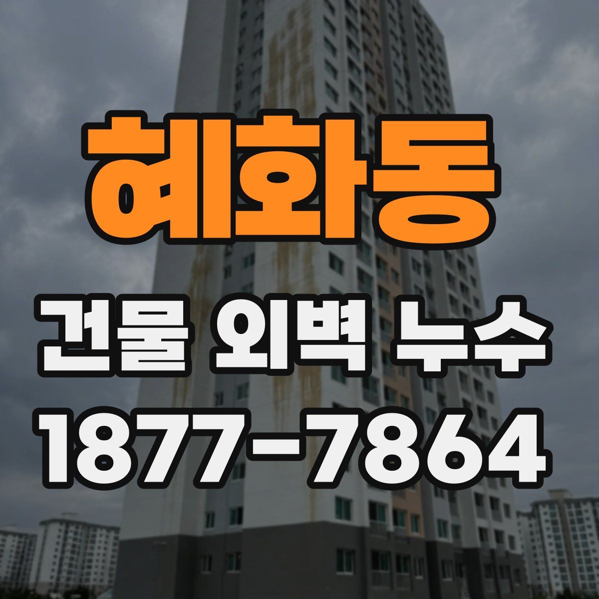혜화동 건물 외벽 누수