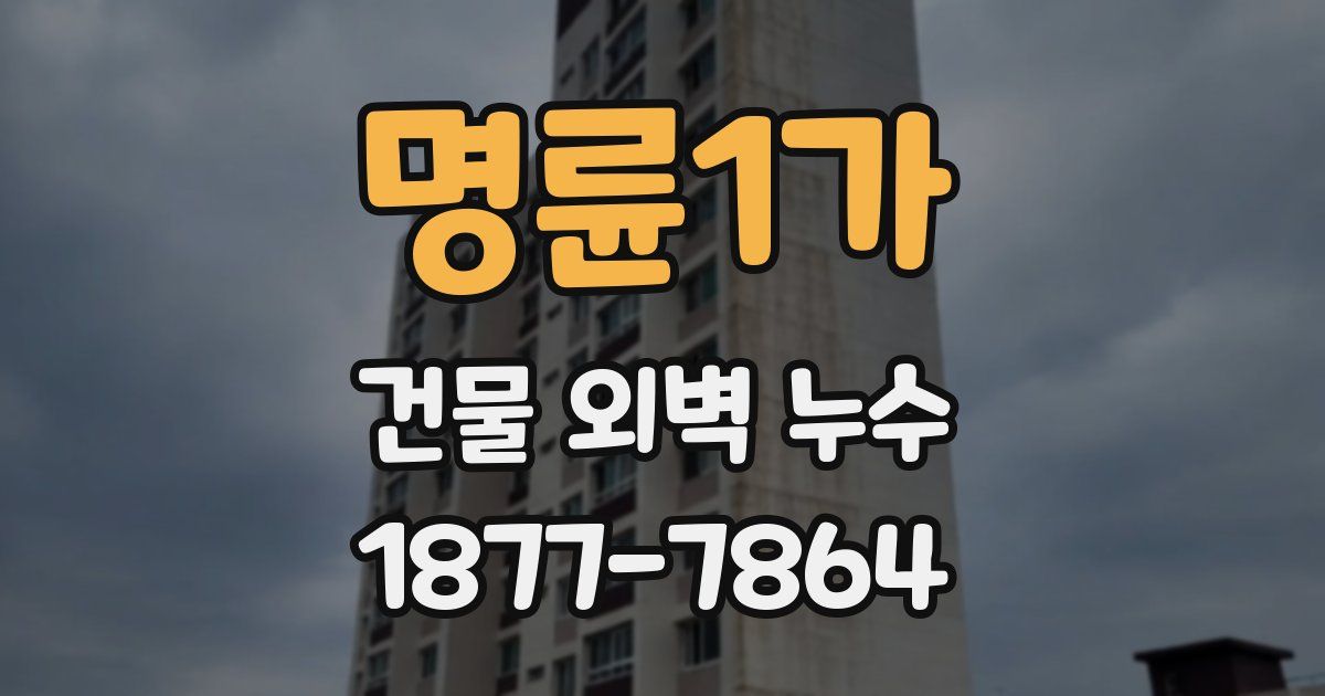 명륜1가 건물 외벽 누수