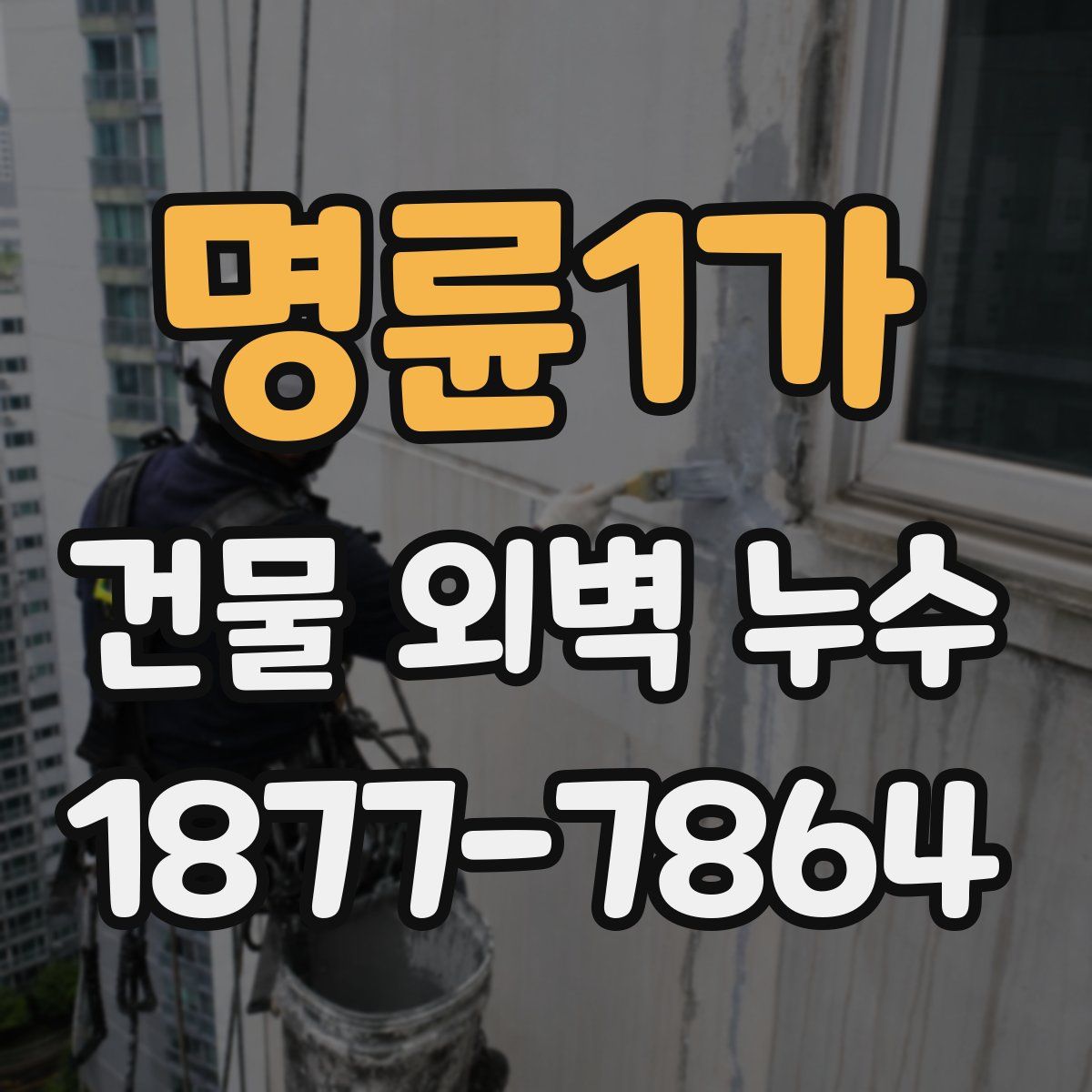 명륜1가 건물 외벽 누수