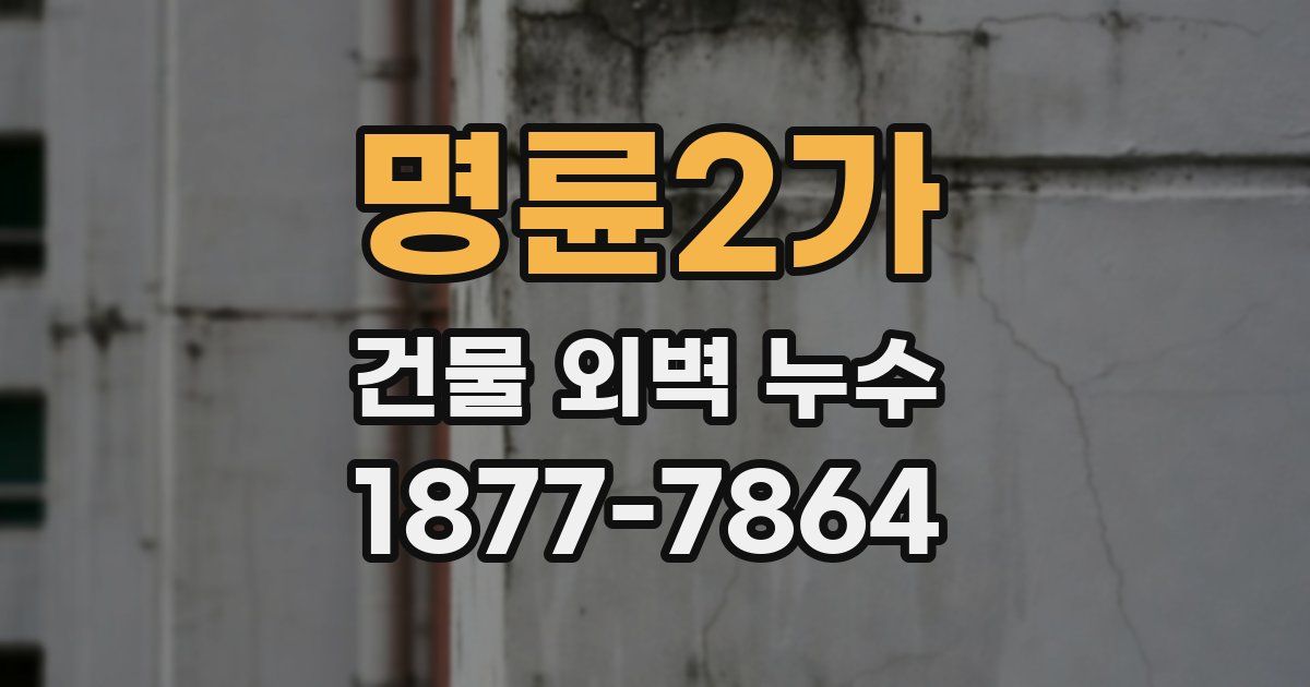 명륜2가 건물 외벽 누수