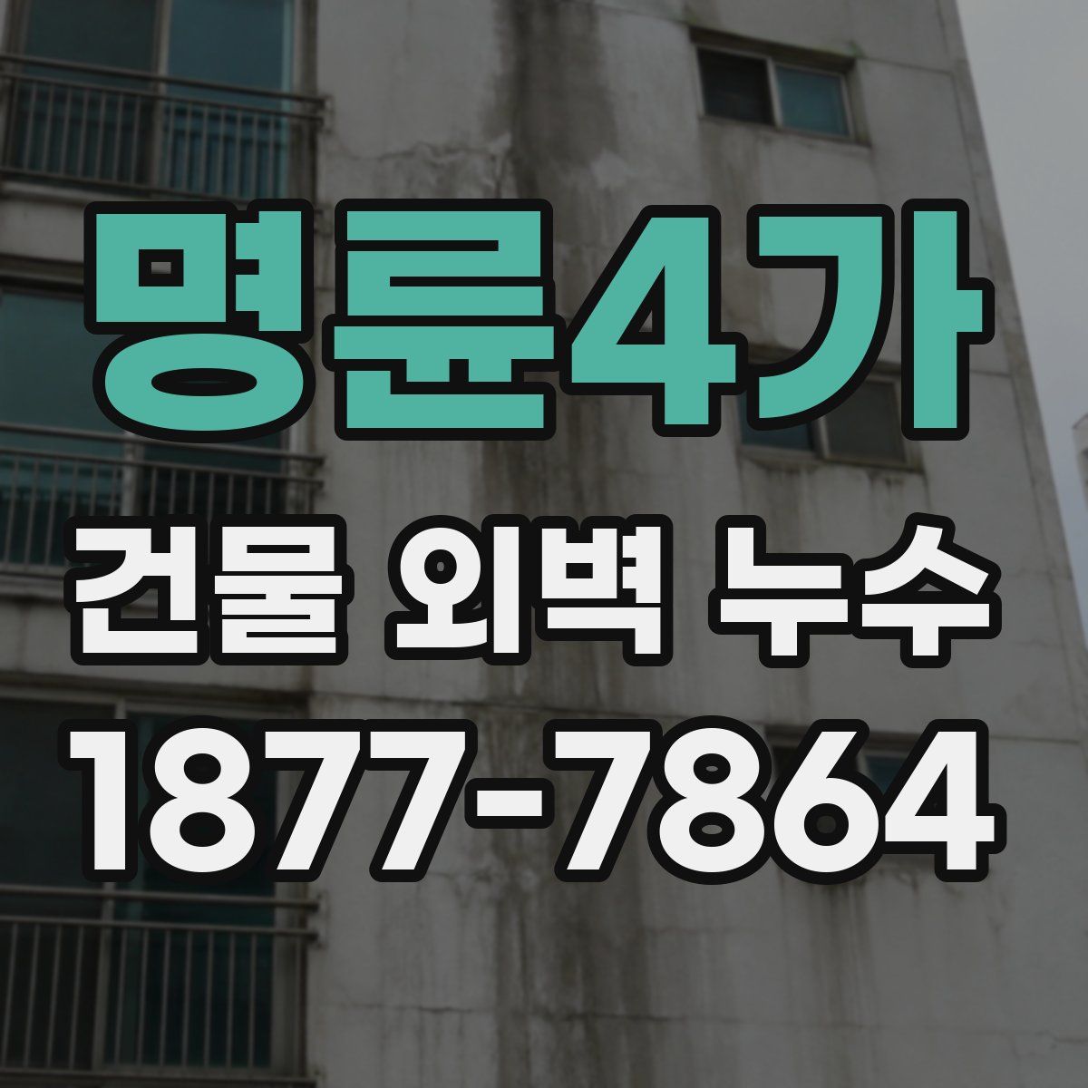 명륜4가 건물 외벽 누수