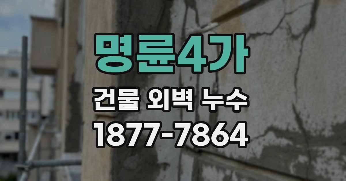 명륜4가 건물 외벽 누수