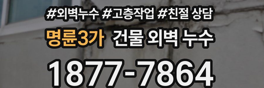 명륜3가 건물 외벽 누수