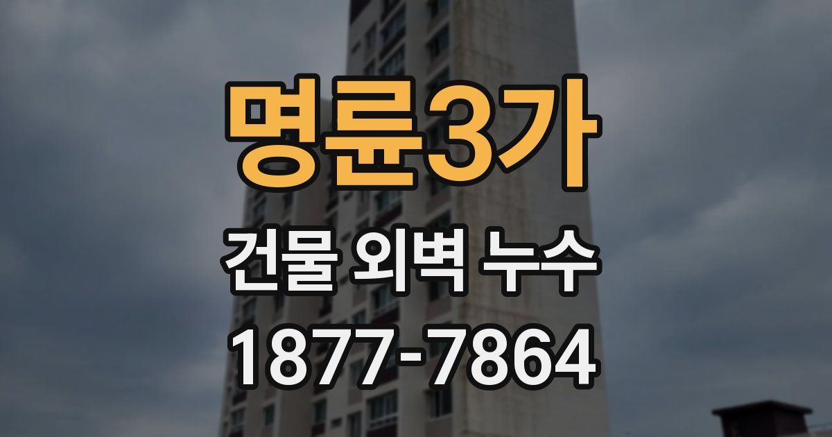 명륜3가 건물 외벽 누수