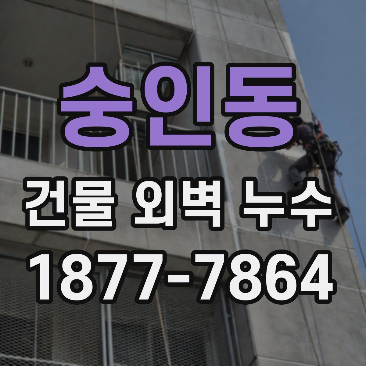 숭인동 건물 외벽 누수