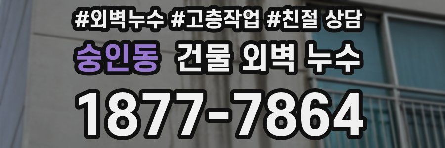 숭인동 건물 외벽 누수