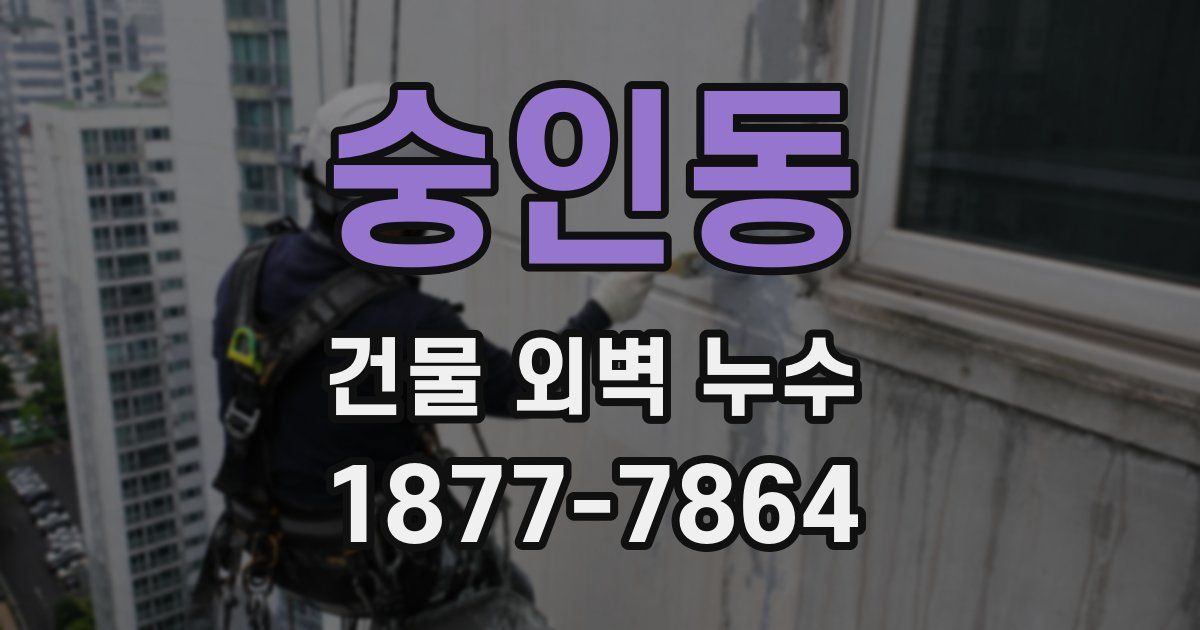 숭인동 건물 외벽 누수