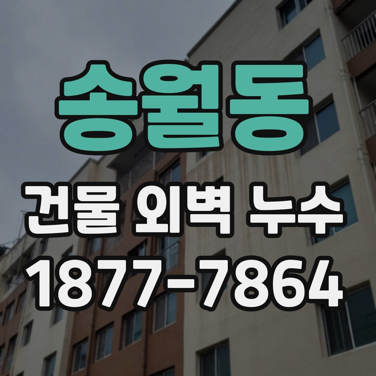 송월동 건물 외벽 누수