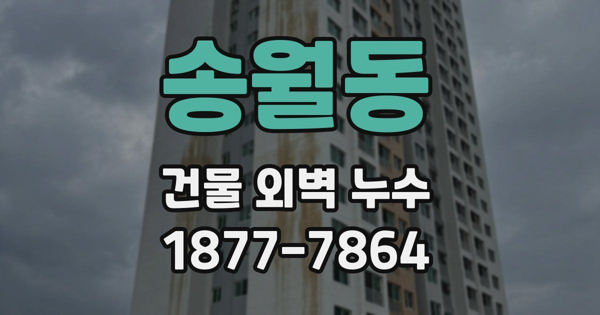송월동 건물 외벽 누수