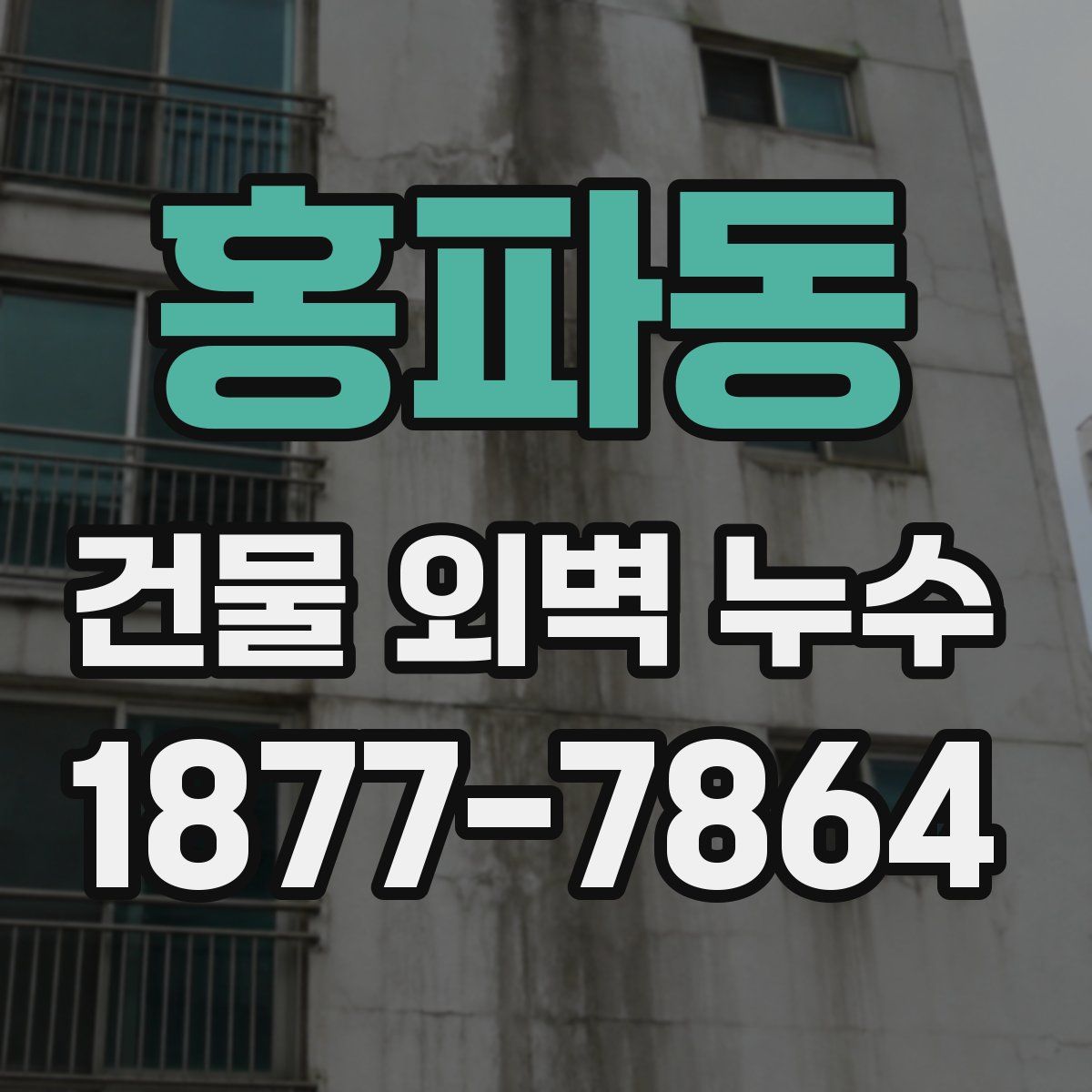 홍파동 건물 외벽 누수