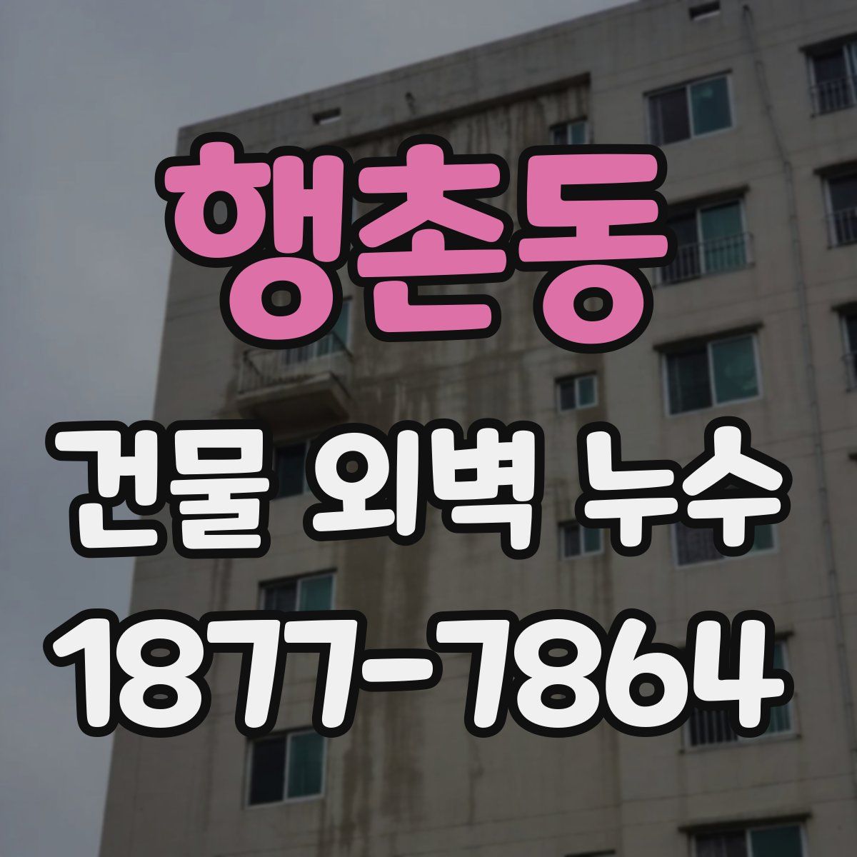 행촌동 건물 외벽 누수