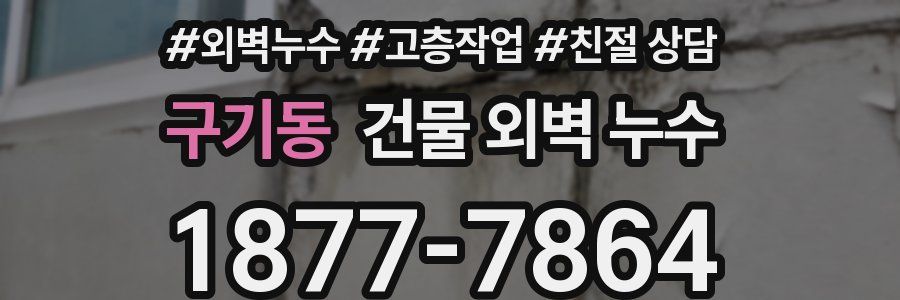 구기동 건물 외벽 누수