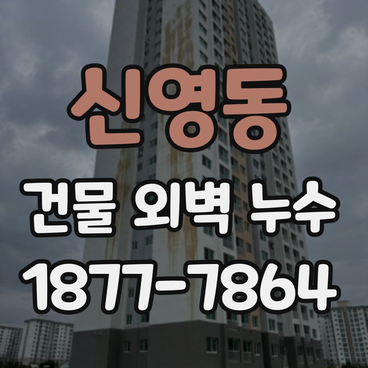 신영동 건물 외벽 누수