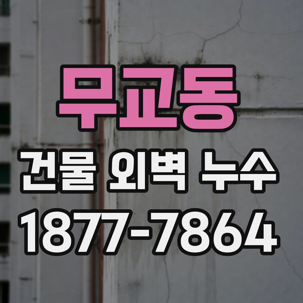 무교동 건물 외벽 누수