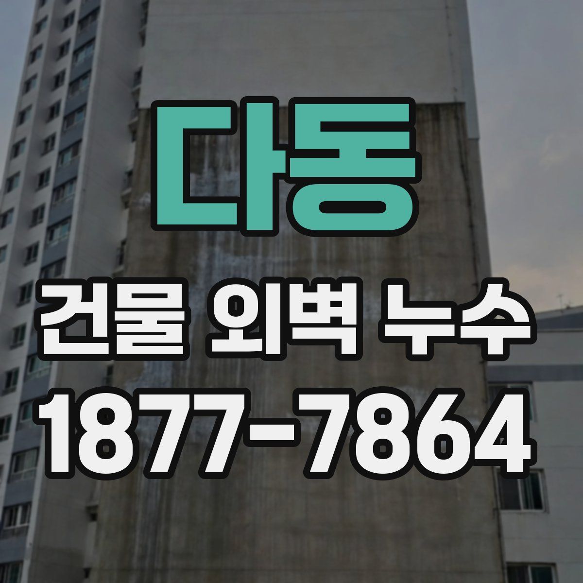 다동 건물 외벽 누수