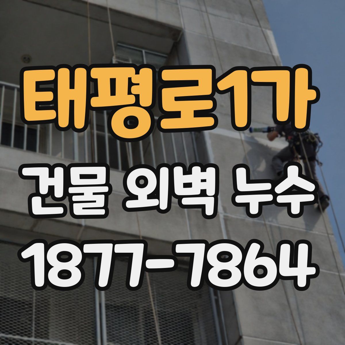 태평로1가 건물 외벽 누수