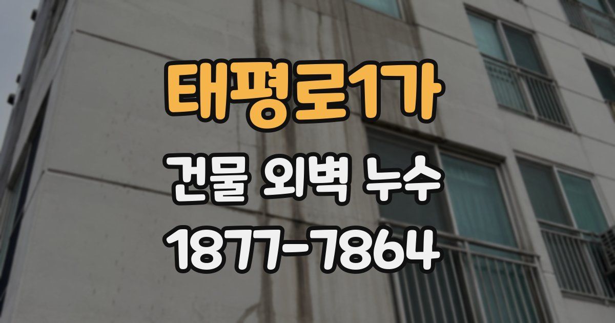 태평로1가 건물 외벽 누수