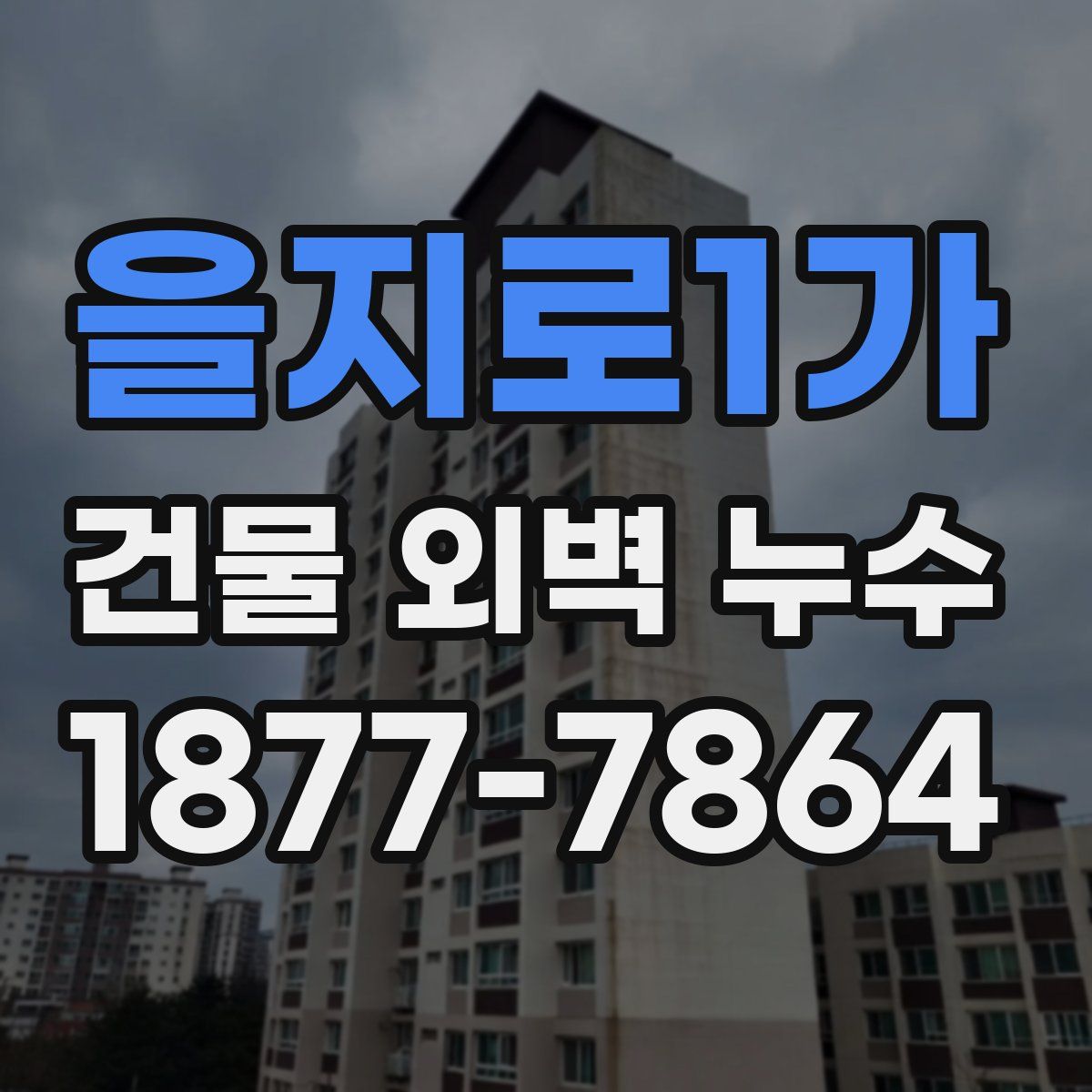 을지로1가 건물 외벽 누수