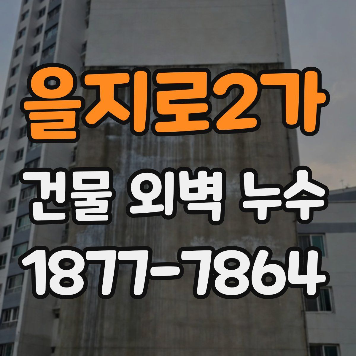 을지로2가 건물 외벽 누수