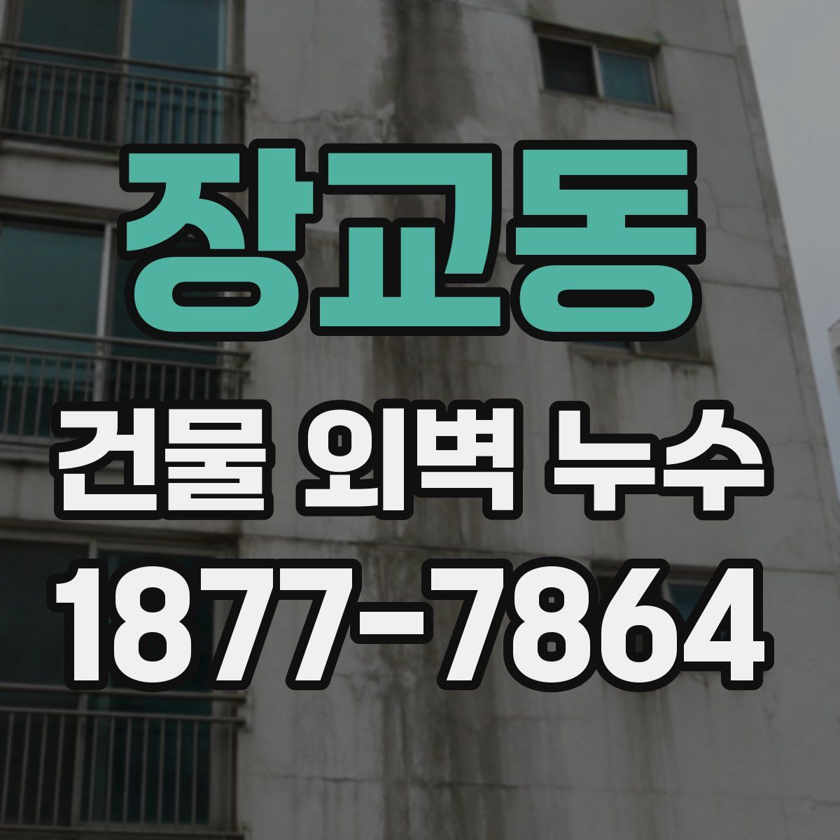 장교동 건물 외벽 누수