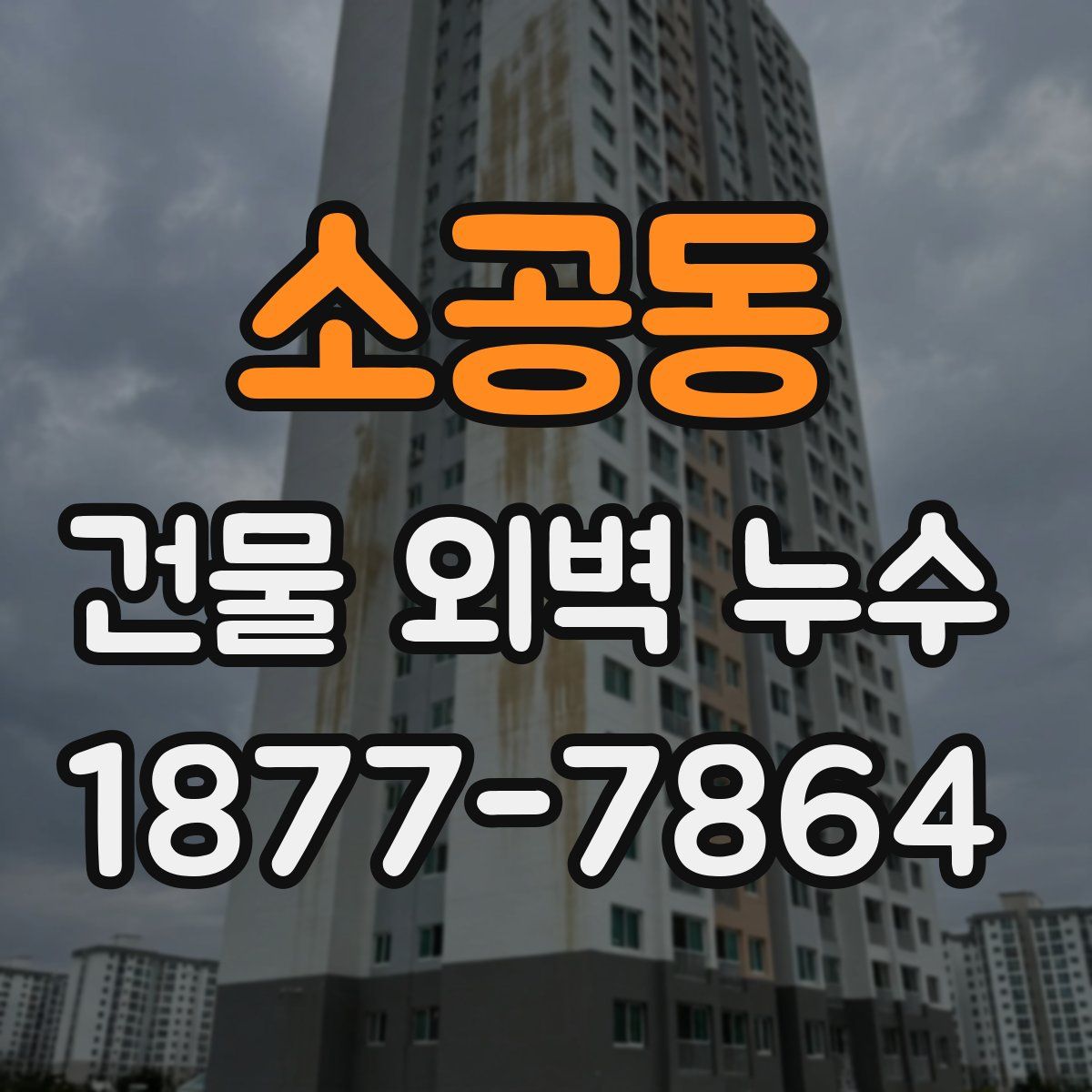 소공동 건물 외벽 누수