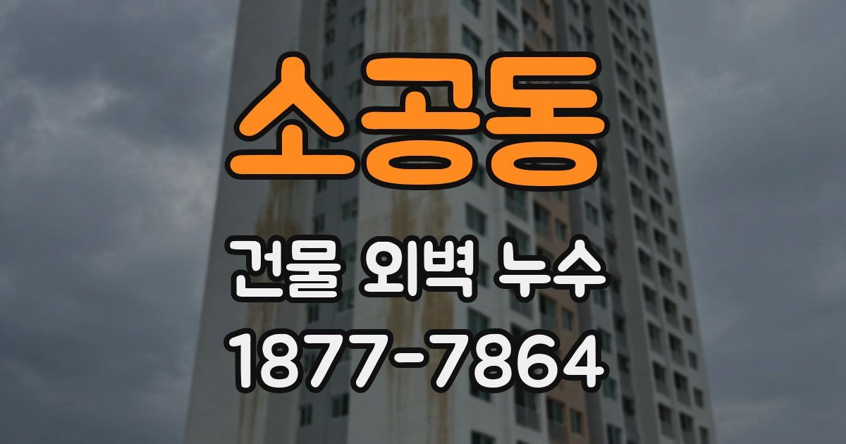 소공동 건물 외벽 누수