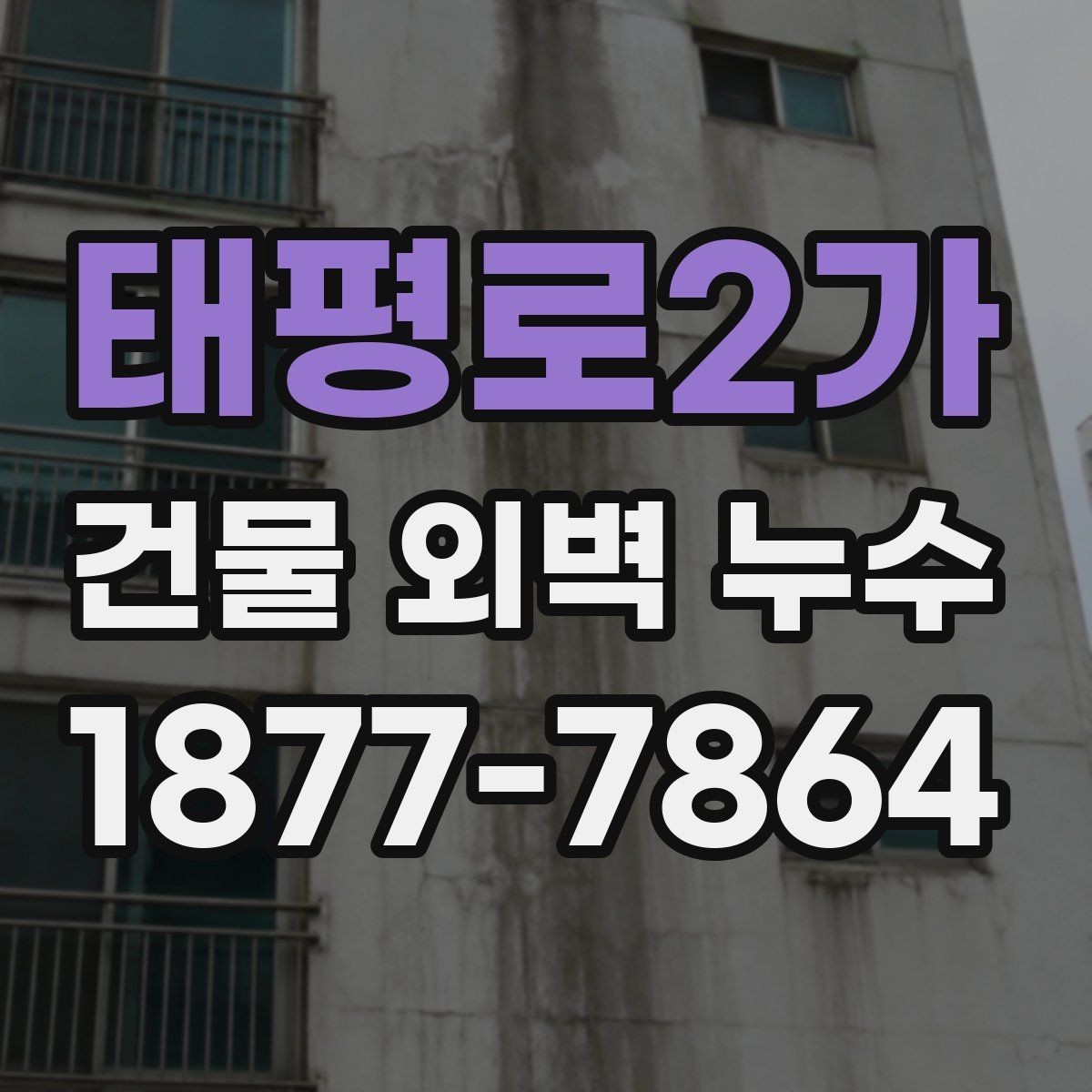 태평로2가 건물 외벽 누수 발생 원인별 사례 정리