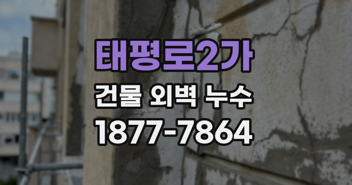 태평로2가 건물 외벽 누수