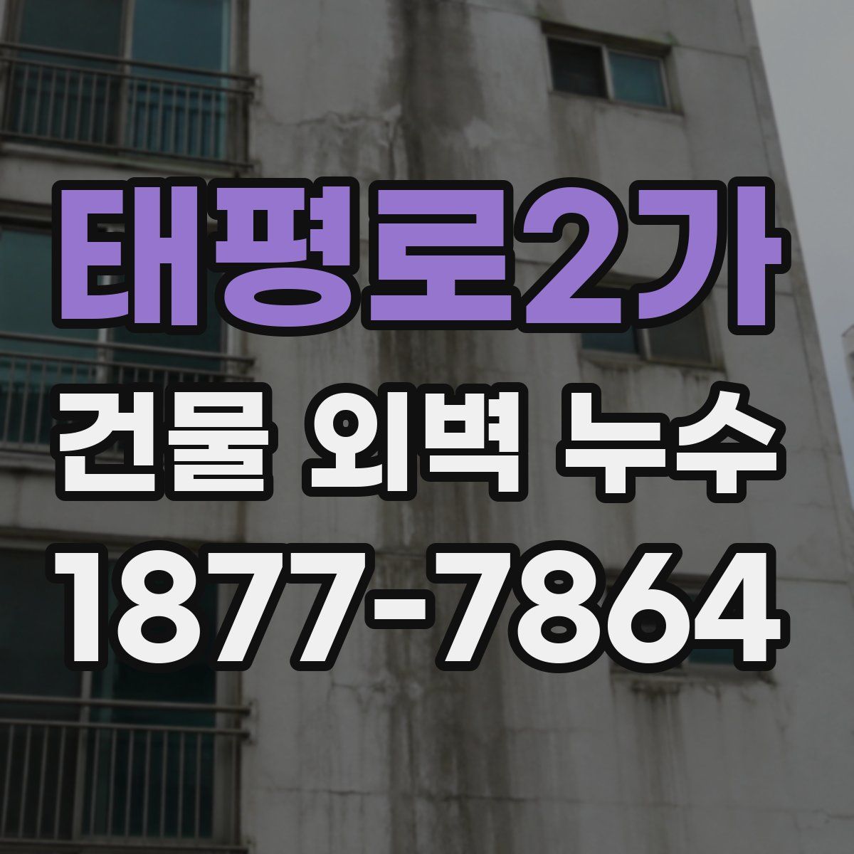 태평로2가 건물 외벽 누수