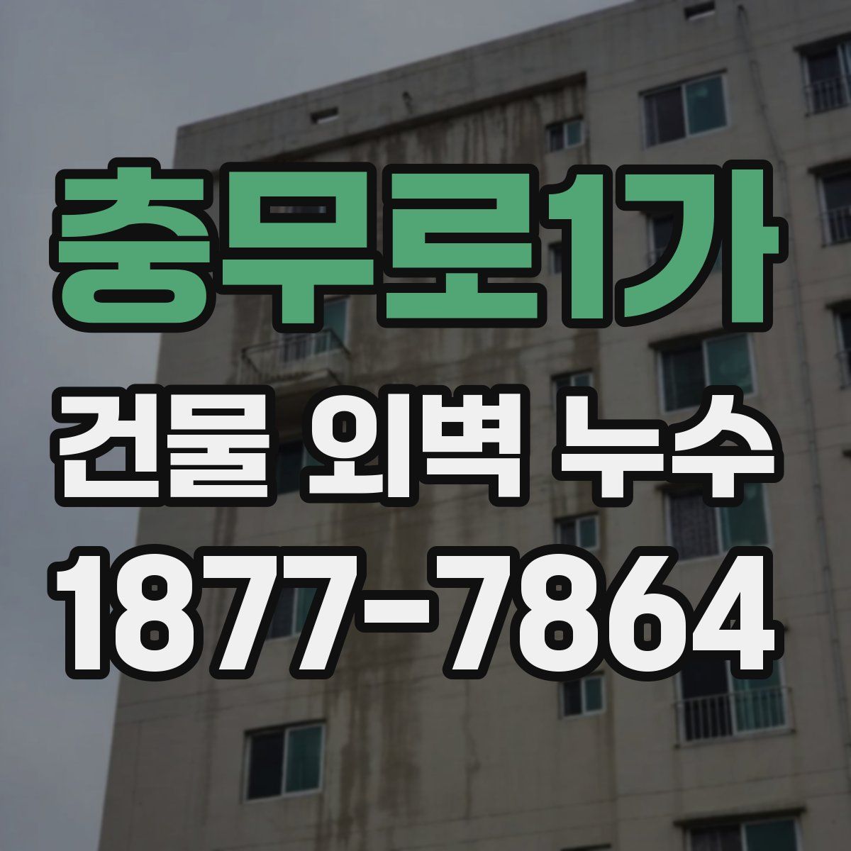 충무로1가 건물 외벽 누수
